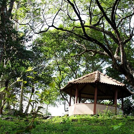 راتنابورا Rajanawa Resort المظهر الخارجي الصورة